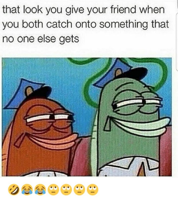 bff meme, bff memes, funny bff meme, funny bff memes, best friend memes, best friend meme, funny best friend meme, funny best friend memes, best friends forever memes, best friends forever meme, funny best friends forever memes, funny best friends meme, funny best friends memes, best friends memes, best friends meme, funny memes about best friends, funny meme about best friends