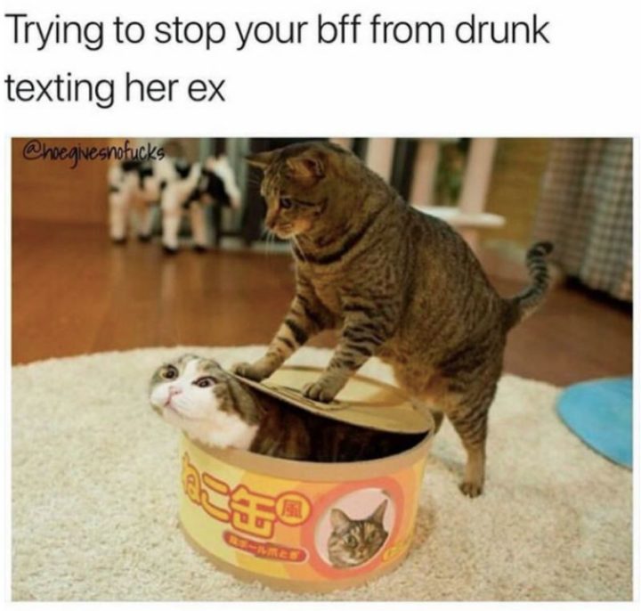 bff meme, bff memes, funny bff meme, funny bff memes, best friend memes, best friend meme, funny best friend meme, funny best friend memes, best friends forever memes, best friends forever meme, funny best friends forever memes, funny best friends meme, funny best friends memes, best friends memes, best friends meme, funny memes about best friends, funny meme about best friends