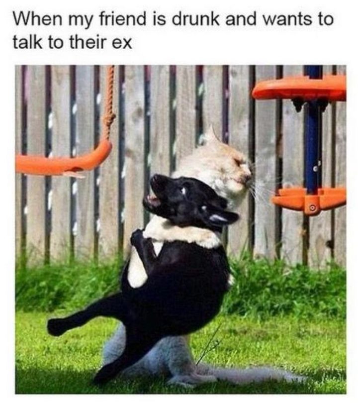 bff meme, bff memes, funny bff meme, funny bff memes, best friend memes, best friend meme, funny best friend meme, funny best friend memes, best friends forever memes, best friends forever meme, funny best friends forever memes, funny best friends meme, funny best friends memes, best friends memes, best friends meme, funny memes about best friends, funny meme about best friends