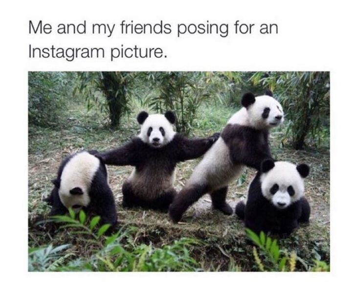 bff meme, bff memes, funny bff meme, funny bff memes, best friend memes, best friend meme, funny best friend meme, funny best friend memes, best friends forever memes, best friends forever meme, funny best friends forever memes, funny best friends meme, funny best friends memes, best friends memes, best friends meme, funny memes about best friends, funny meme about best friends